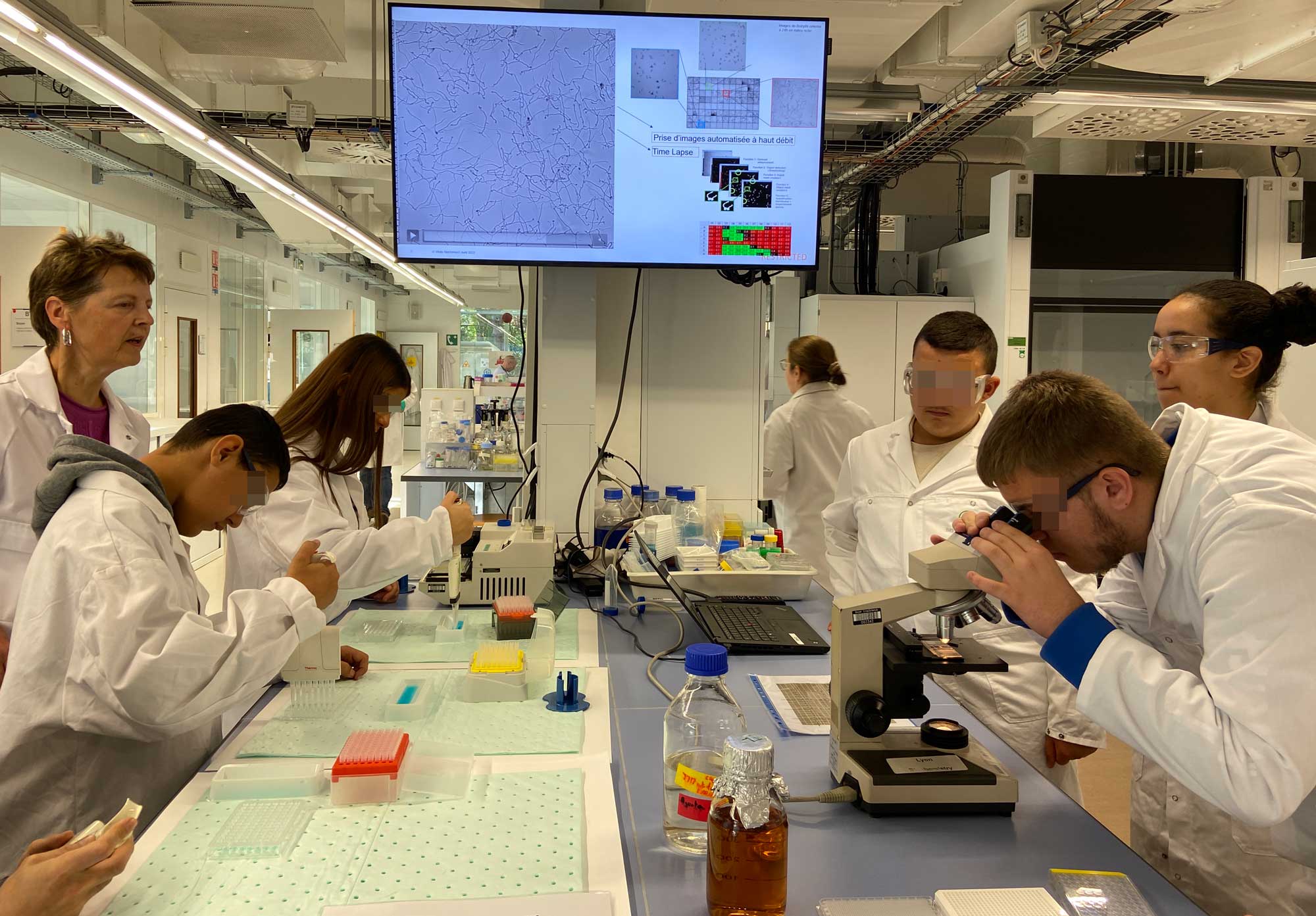 Des jeunes lyonnais en situation de handicap en visite dans un