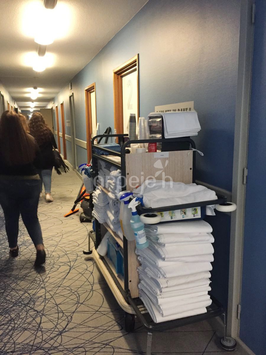 Exploration des métiers Arpejeh chez Accor